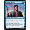 Prodigal Sorcerer (foil)