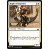 Raptor Companion