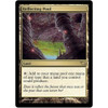 Reflecting Pool