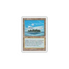Remote Isle