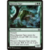 Riparian Tiger