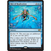 Rite of Replication