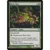 River Boa