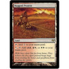 Rugged Prairie