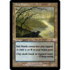 Salt Marsh (foil)