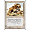 Savannah Lions