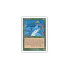 Scaled Wurm
