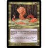 Segmented Wurm