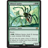 Silklash Spider