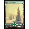 Snow-Covered Forest