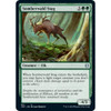 Somberwald Stag | Jumpstart