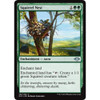 Squirrel Nest | Modern Horizons