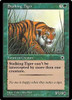 Stalking Tiger