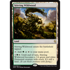 Stirring Wildwood
