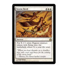 Storm Herd