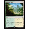 Sunpetal Grove