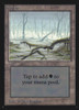 Swamp (#1) (Not Tournament Legal)