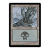 Swamp (#3)