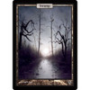 Swamp