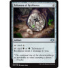 Talisman of Resilience