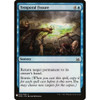 Temporal Fissure