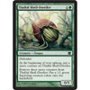 Thallid Shell-Dweller