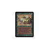 Thicket Basilisk
