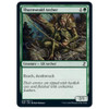 Thornweald Archer (foil)