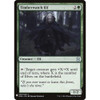 Timberwatch Elf