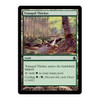 Tranquil Thicket