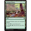 Tranquil Thicket