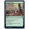 Tranquil Thicket