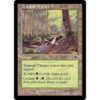 Tranquil Thicket
