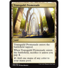 Transguild Promenade | Commander Anthology