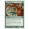 Treetop Bracers