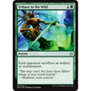 Tribute to the Wild