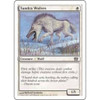 Tundra Wolves | 8th Edition