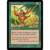 Uktabi Orangutan