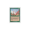 Untamed Wilds