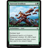 Vastwood Zendikon