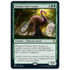 Verdant Sun's Avatar