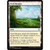 Vivid Meadow