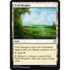 Vivid Meadow