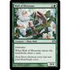 Wall of Blossoms