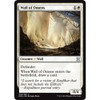 Wall of Omens
