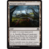 Warped Landscape