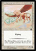 Wild Griffin