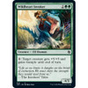 Wildheart Invoker