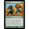 Wild Pair  (foil) | Planar Chaos