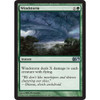 Windstorm (foil)